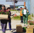 Цветам объявлен старт - ProSeverouralsk.Ru