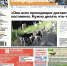 Собаки терроризируют прохожих, в Черемухово жалуются на график работы почты - ProSeverouralsk.Ru