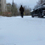За ночь на севере области выпало 20% месячной нормы осадков - ProSeverouralsk.Ru
