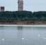 В День эколога – о чистоте воды - ProSeverouralsk.Ru