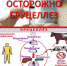 МЕРОПРИЯТИЯ ПО ПРОФИЛАКТИКЕ БРУЦЕЛЛЁЗА - Североуральский городской округ