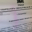 Губернатор подписал указы о присвоении званий «Ветеран труда». Кого удостоили - ProSeverouralsk.Ru