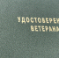 Вышли свежие указы о присвоении федеральных и региональных званий «Ветеран труда» - ProSeverouralsk.Ru