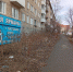 За вынос веток и листьев в контейнер - штраф! То же - со строительными отходами - ProSeverouralsk.Ru