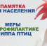 Правила содержания птицы в личных подсобных хозяйствах граждан и меры по предотвращению заноса и распространения гриппа птиц - Североуральский городской округ