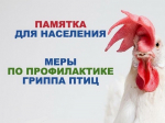 Правила содержания птицы в личных подсобных хозяйствах граждан и меры по предотвращению заноса и распространения гриппа птиц